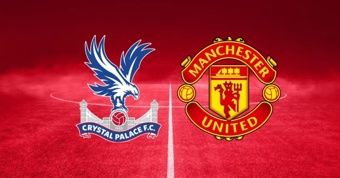 Crystal palace vs man united