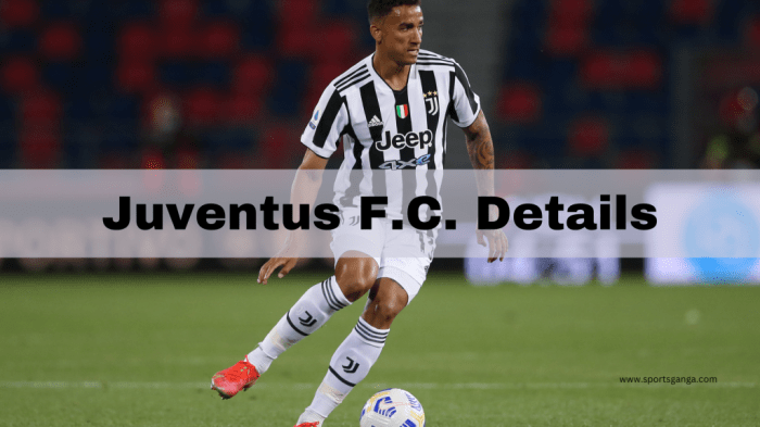 Profil klub Juventus F.C. lengkap