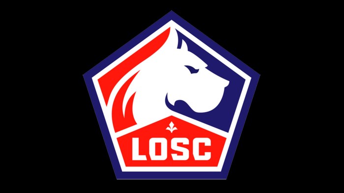 Profil klub Lille lengkap